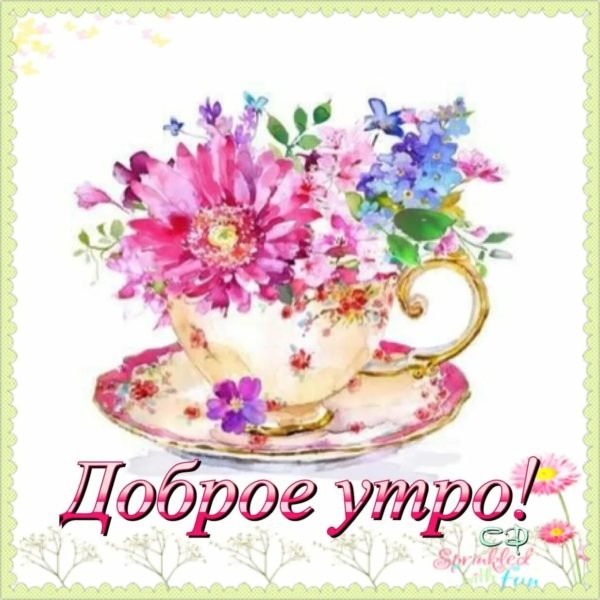 Нежные поздравления с добрым утром