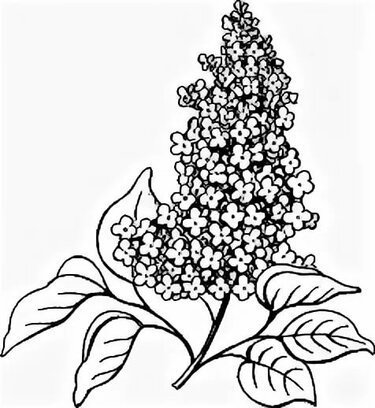 Сирень для детей мультяшная