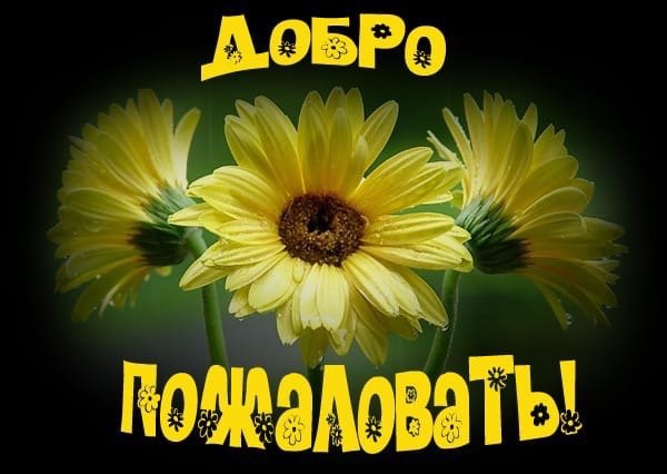 Добро пожаловать!