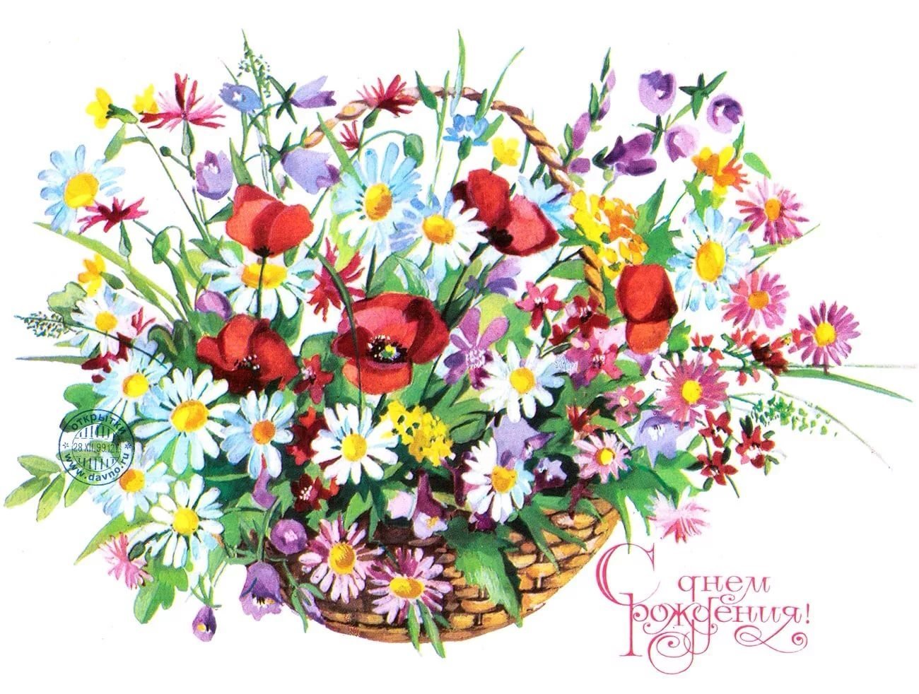 Цветочная открытка с полевыми цветами и копией пространства