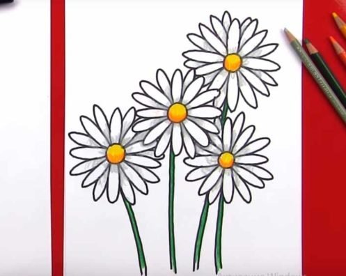 Рисунок ромашки для срисовки
