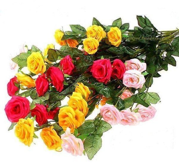 Стикер цветы и пожелания