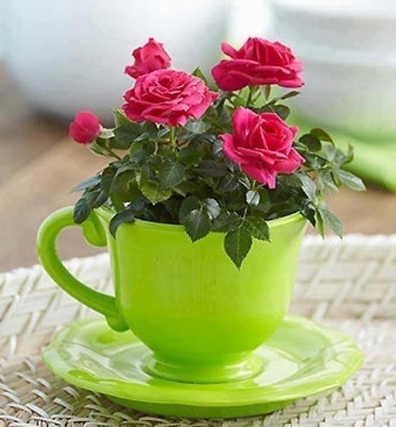 Сиреневые тюльпаны в корзине