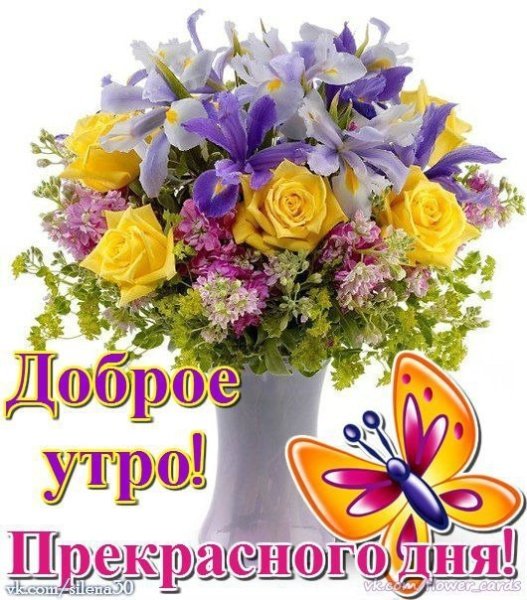 Прекрасного весеннего дня