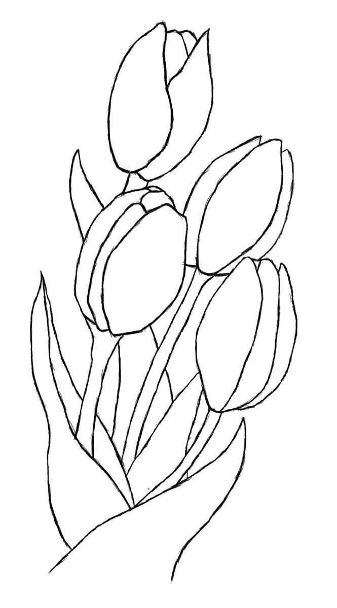 Нарисовать рисунок тюльпаны. Рисование тюльпанов. Тюльпаны карандашом. Тюльпаны карандашом для срисовки. Цветы карандашом для срисовки тюльпаны.