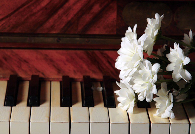 Клавиши белого рояля. Цветы на рояле. Цветы на пианино. Фортепиано и цветы. Фортепиано с цветами.
