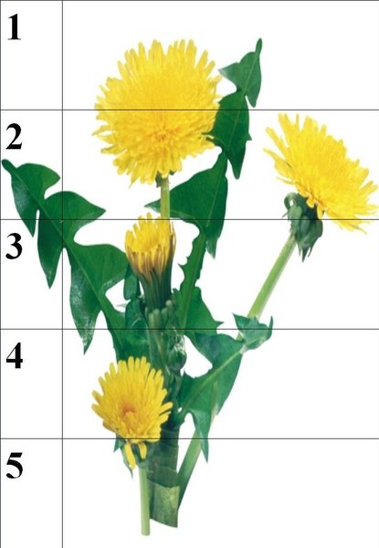 Сложи картинку Весна