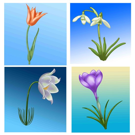 Демонстрационный материал первоцветы