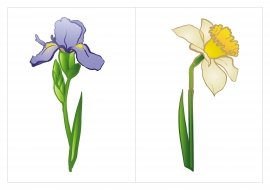 Цветы разрезные картинки для детей