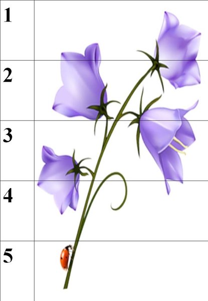 Математические пазлы цветы
