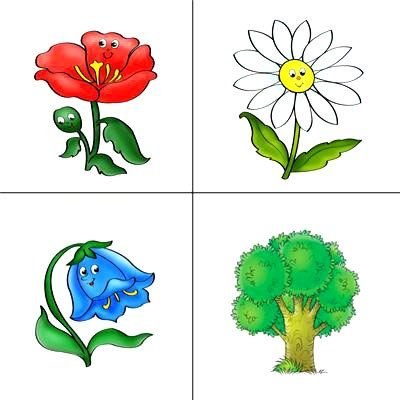 Найди лишний цветок