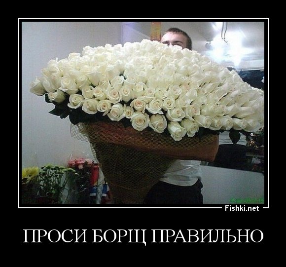 Приколы про цветы