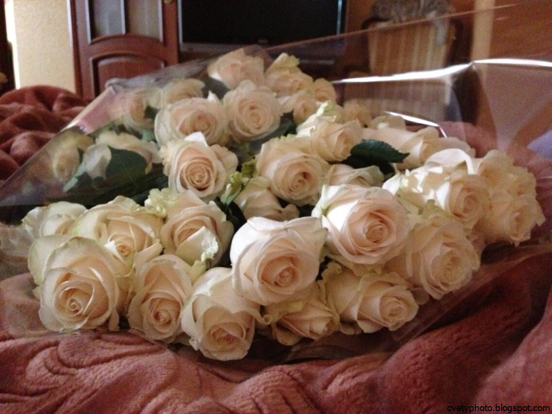 Сегодня мне подарили цветы. Букет роз на кровати. Букет роз дома. Красивый букет дома. Букет роз реальные.
