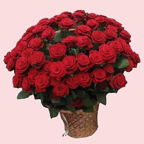 Цветы для Настеньки