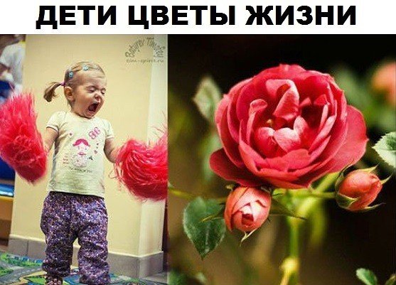 Веселое детство