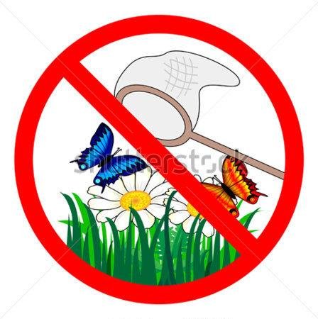 Не топчите растения знак