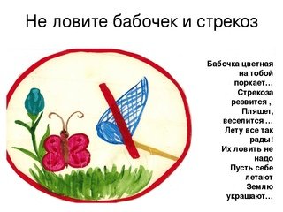 Берегите растения