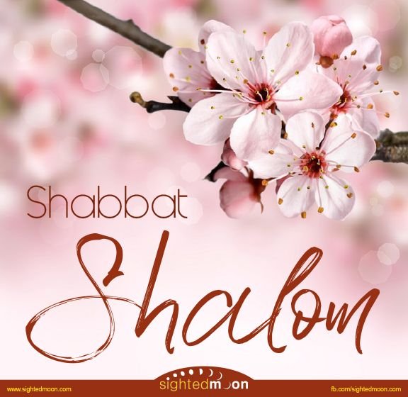 Шаббат Шалом