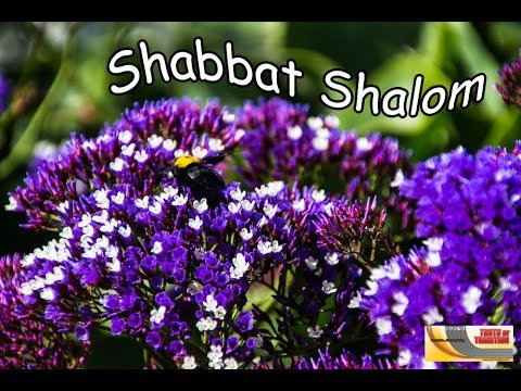 Шабат Шалом с цветами
