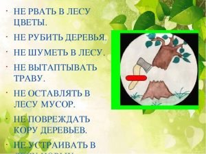 Правила поведения в окружающей среде знаки
