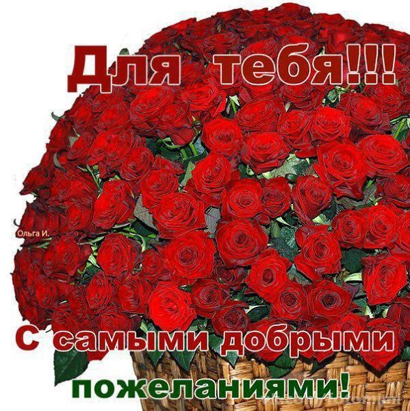 Красивый букет Олечке