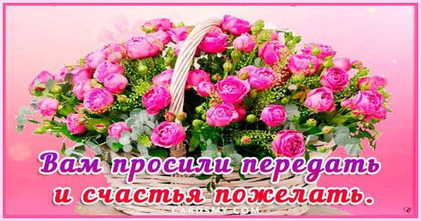 Открытки вам просили передать