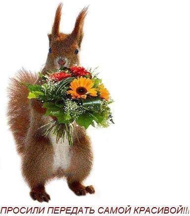 Просили передать