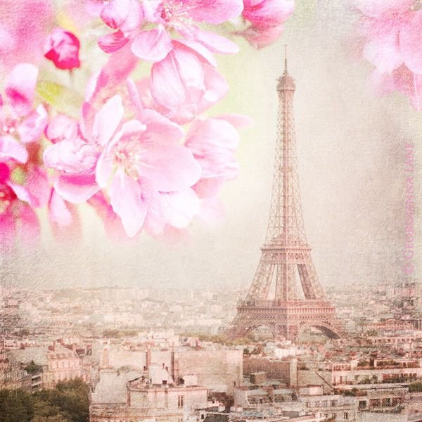 Розовый Париж