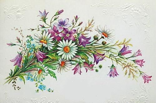 Ретро открытки цветы полевые