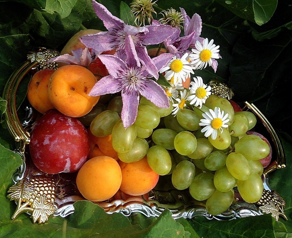 картинки фруктов с пожеланиями