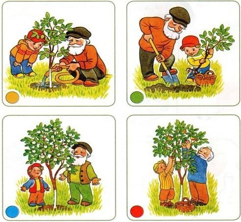 Сюжетные последовательности в картинках