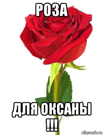 Оксаночка цветы