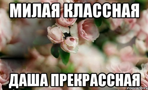 С днём рождения шампанское и торт