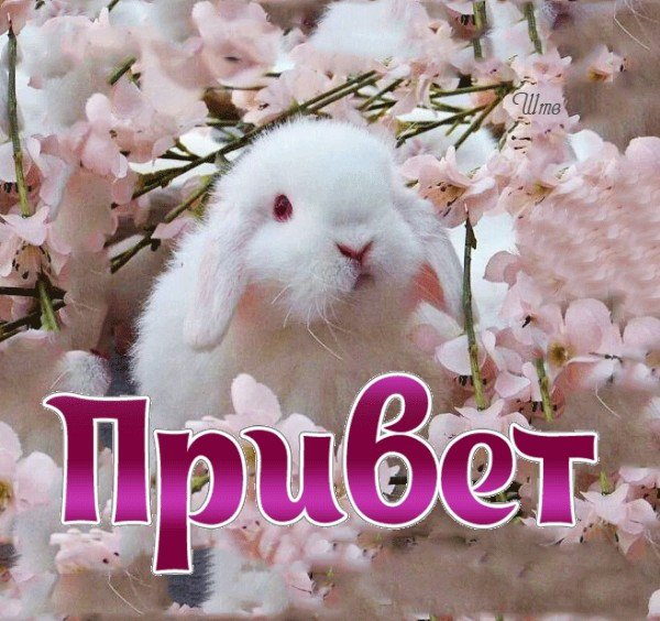 С наступившим днём рождения красивые поздравления бесплатно