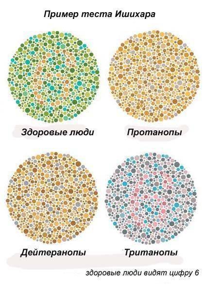 Дальтонизм трихромазия