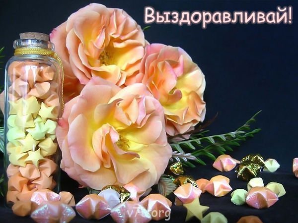 Цветы для женщины для выздоровления