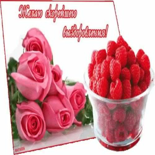 Цветы с пожеланиями выздоровления