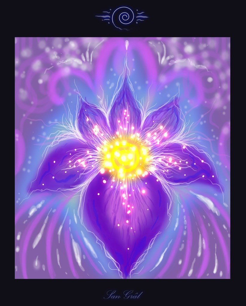Исцеление цветом. Цветы эзотерика. Фиолетовое пламя. Цветок энергии. Цветок символизирующий с космосом.