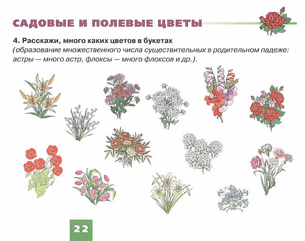 Задание цветы