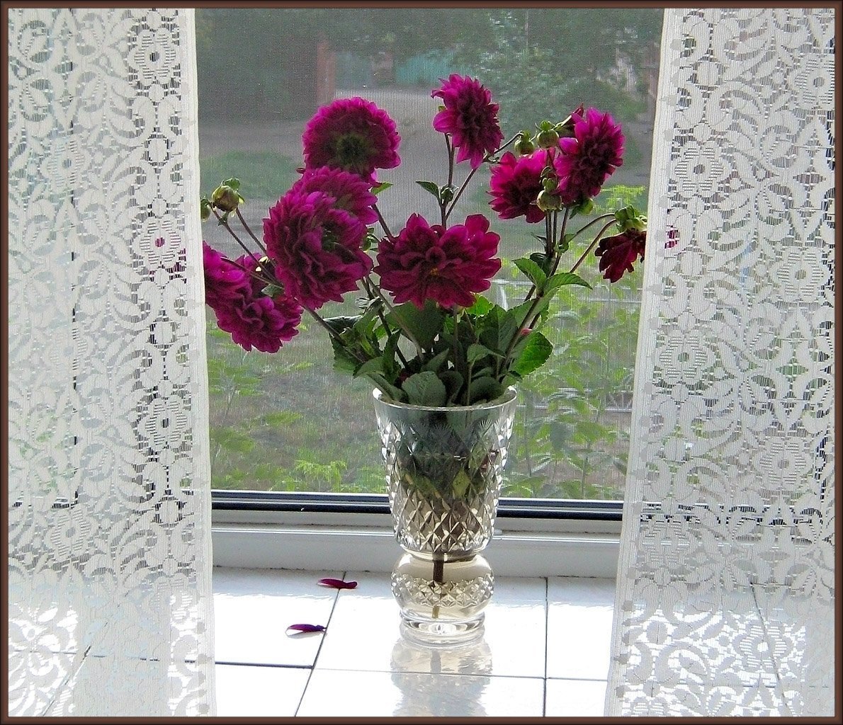 Цветы в вазе на окне