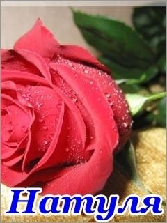 Цветы для Наташи с надписью