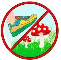 Знак не срывать цветы