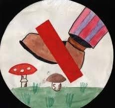 Нельзя обижать насекомых