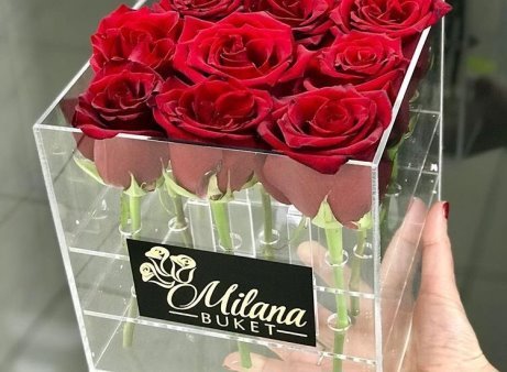 Поздравления с днём рождения Милане