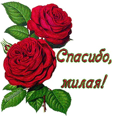 Открытки спасибо моя хорошая