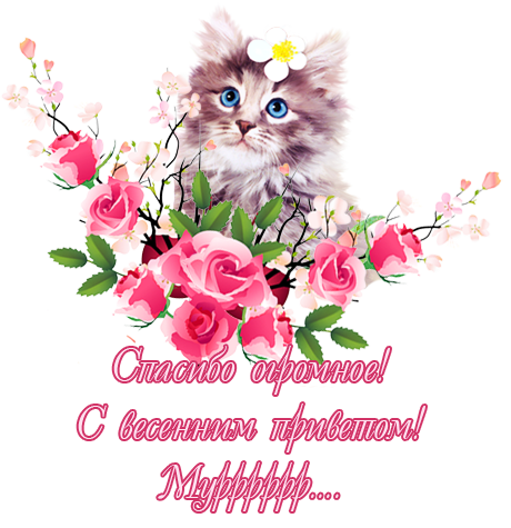 Спасибо любимому мужу