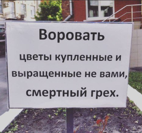 Объявление чтоб не воровали цветы