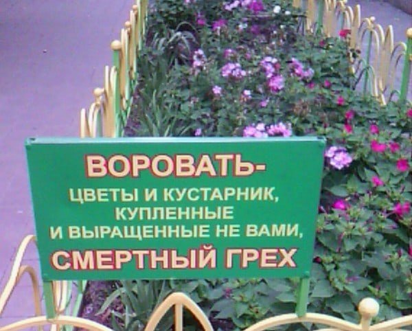 Воруют цветы