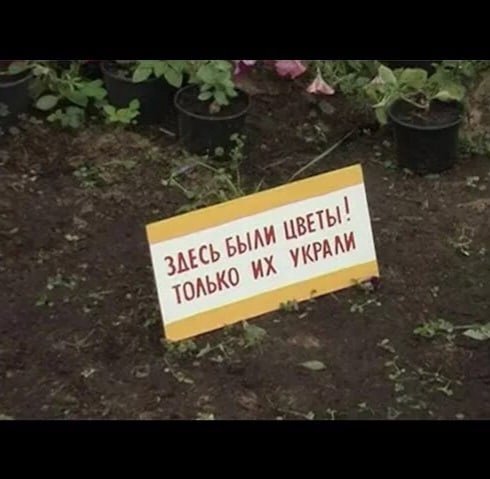 Клумбы для детей в детском саду