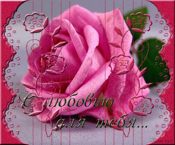 Цветы целую